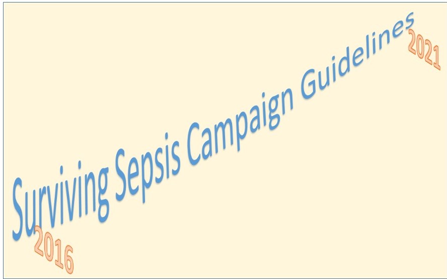 Surviving Sepsis Campaign Guidelines Sepsis Program Optimization